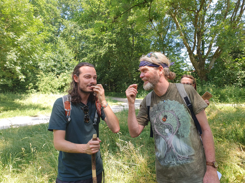 Verjaardags-struintocht-wildpluk-special - Natuur, Sjamanisme, Bosbad - Shinrin Yoku