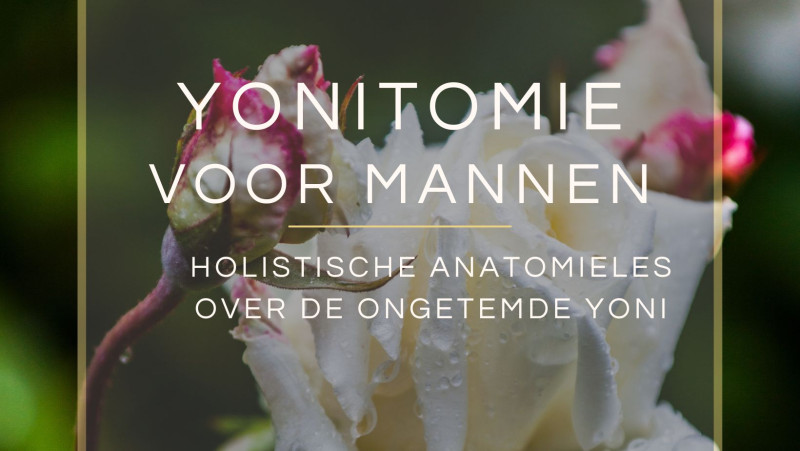 Yonitomie voor mannen - Lichaamswerk, Mannen Workshops, Belichaming