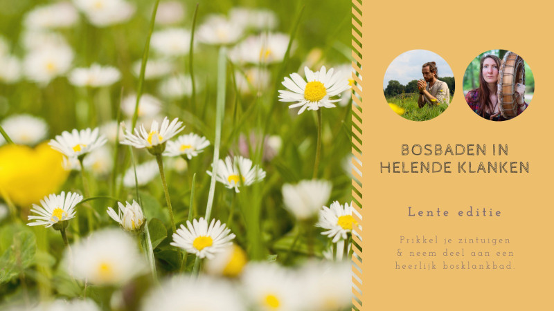 LENTE Bosbad met klankbeleving
