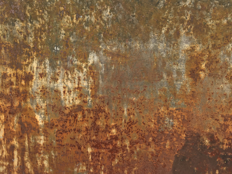 De Alchemie van jouw Natuur - Hout Element