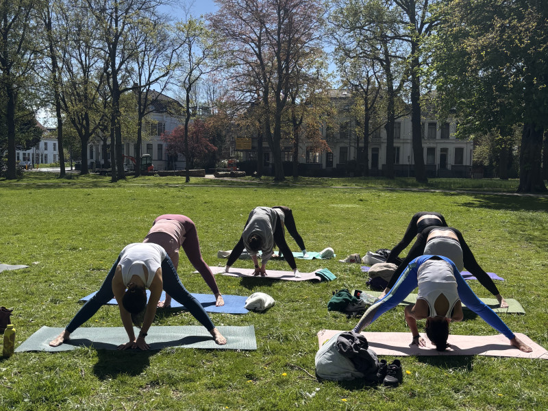 Yoga Flow & Yin Sound Bath in the Park
