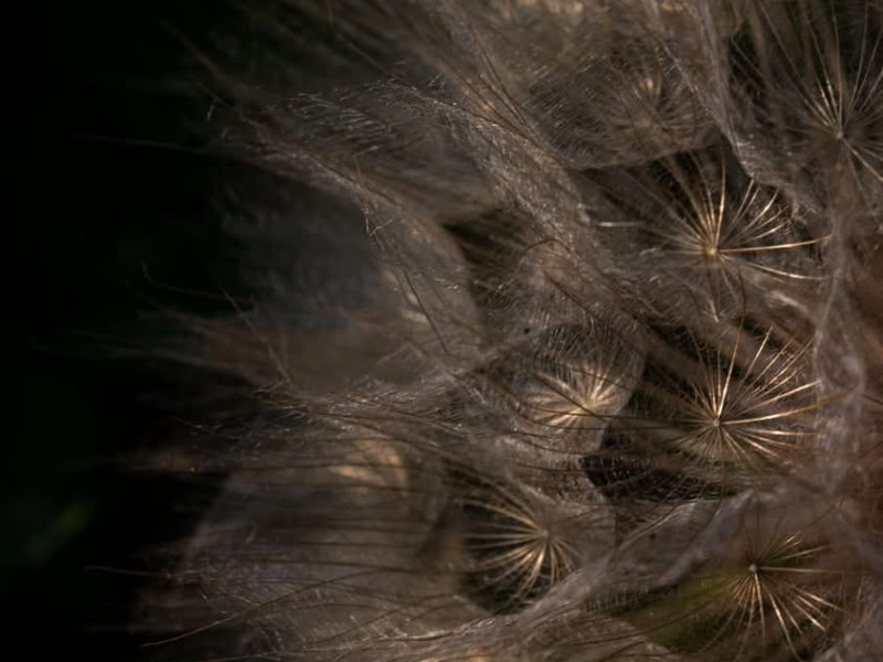 Sister Circle - thema Intimiteit - Cercles de femmes, Expression de soi, Autres ateliers