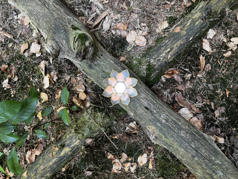 Wandelen door het Wondere Wiel