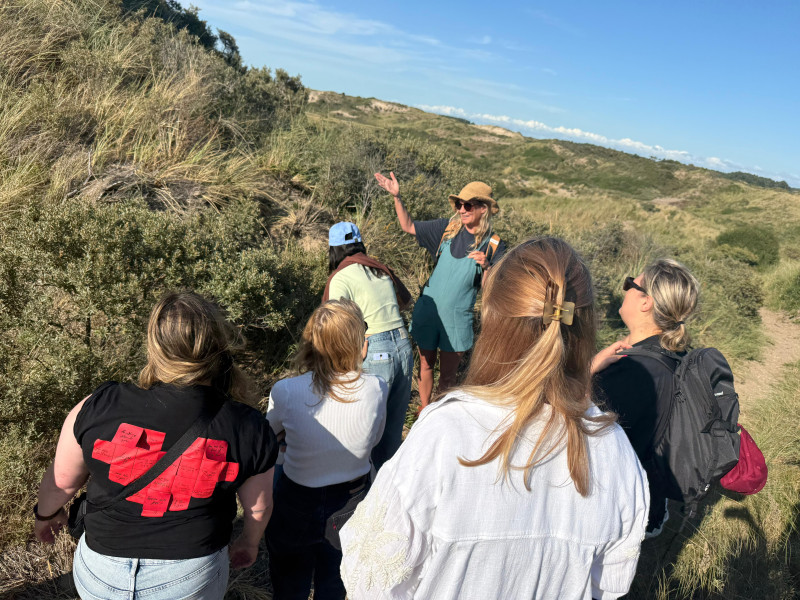 Wildplukken - Planten proeven, Medicinale werking, Thee maken