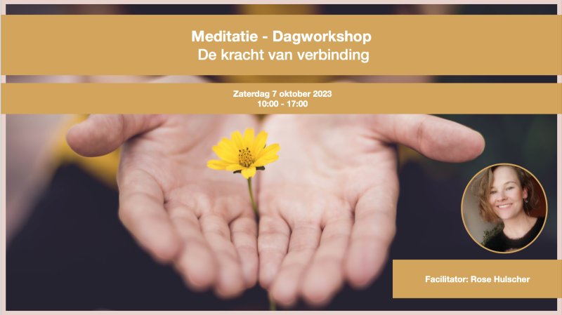 Meditatie: Dagworkshop. De kracht van verbinding  - Meditatie, Lichaamswerk, 1-Dags retraite