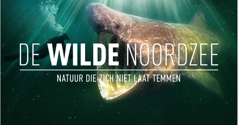 Film: De WILDE Noordzee - Film