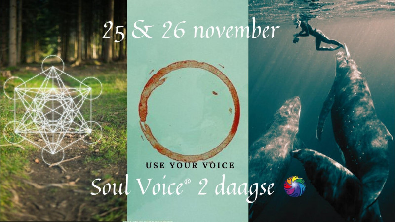 De Soul Voice 2 daagse workshop - Soundhealing, Overige Workshops
