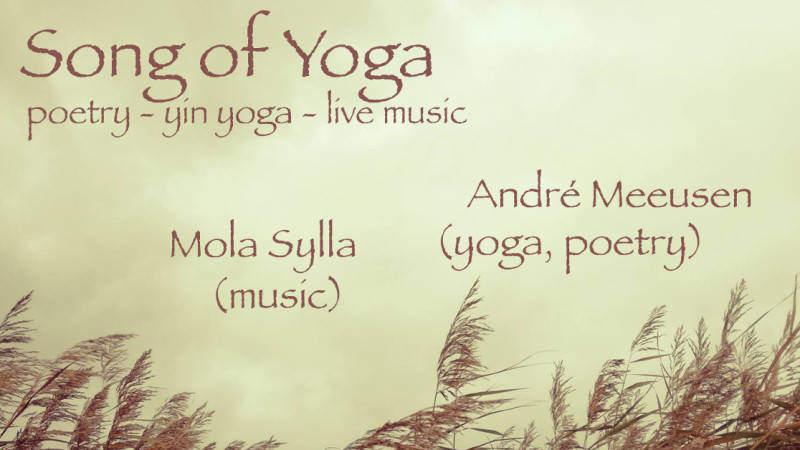 Yoga Concert | poetry, yin yoga & live music with Mola Sylla