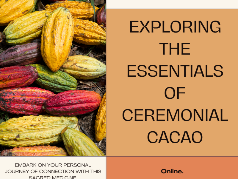 Exploring the Essentials of Ceremonial Cacao