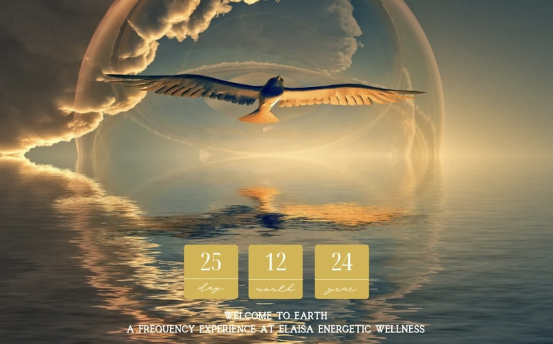 The Holy Consciousness Elaisa Energetic Welness - Overige Workshops, Multidimensionaliteit