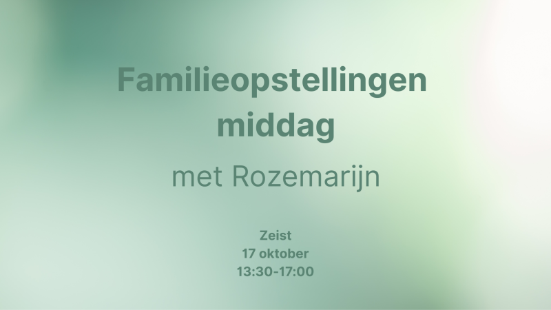 Familieopstellingen middag