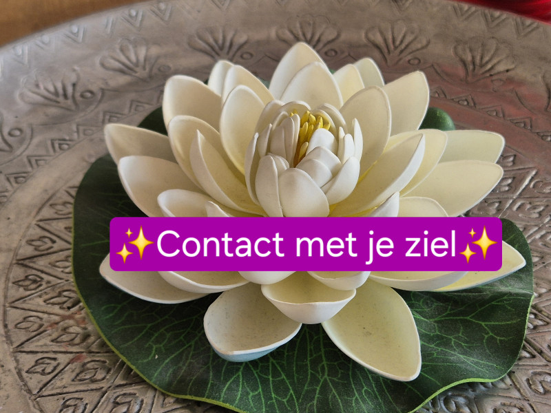 Meditatiecursus Contact met je ziel - Hipsy