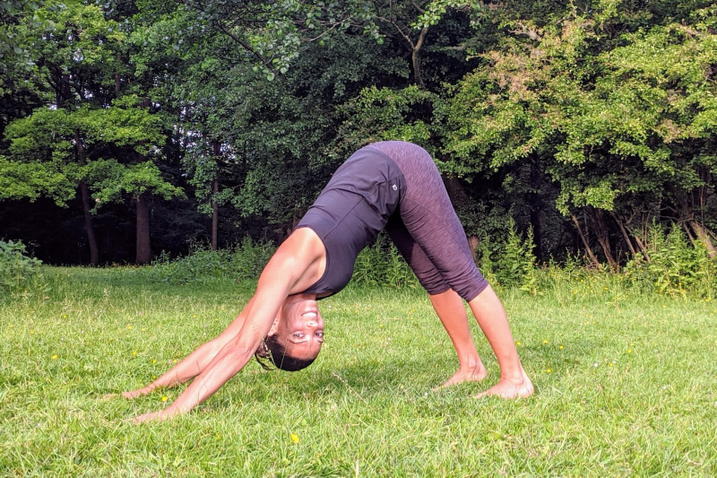 Ashtanga Step-by-Step: A Guided Journey into the Practice