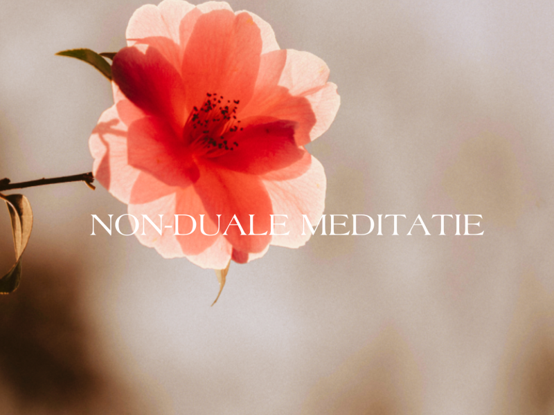 Non-duale meditatie, 5 woensdag avonden in Zutphen - Meditatie, Bewustzijnsontwikkeling, Overige Workshops