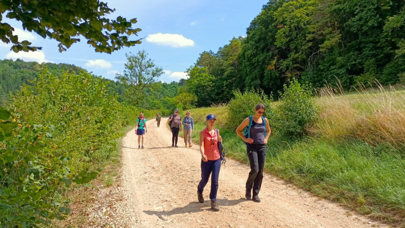 7-daagse retraite Yoga, wandelen en meditatie in Frankrijk