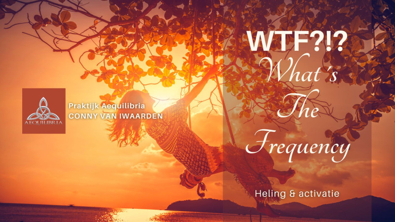 WTF?!? What's The Frequency?