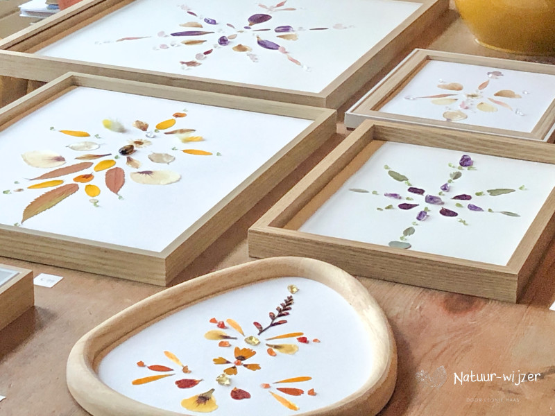 Natuur-Wijzer: Energetisch schilderij maken met edelstenen en bloemen