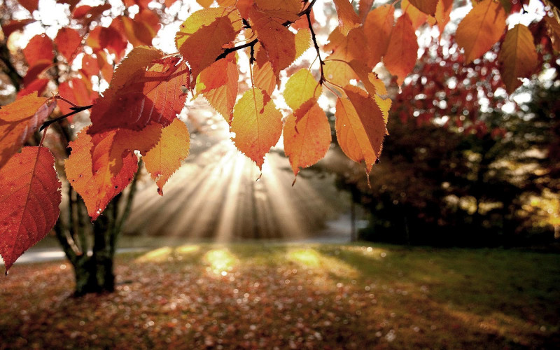 Herfst | Workshop Metaal element
