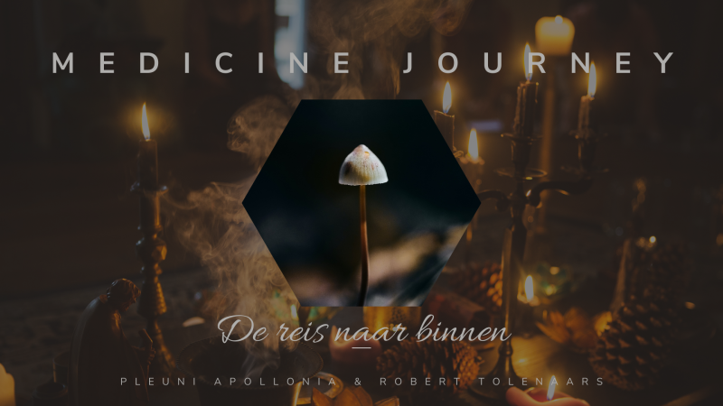 Medicine Journey