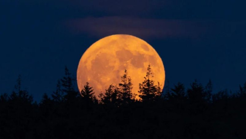 'Bijna-Volle-Maan-Wandeling' + Astrologische uitleg