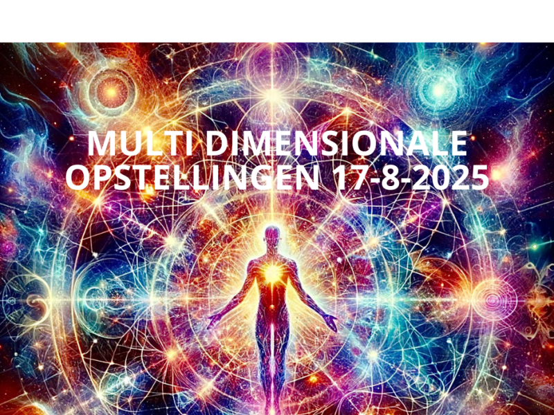 Multidimensionale opstellingendag