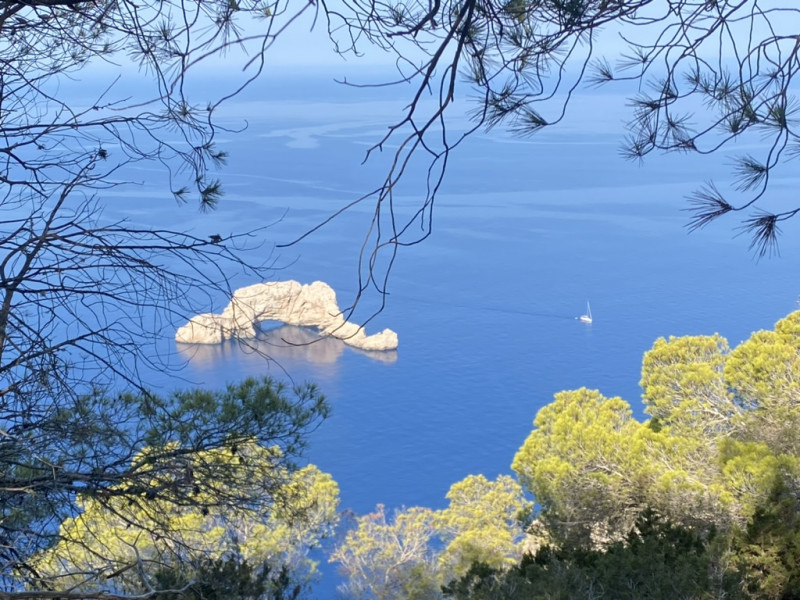 Akhila Retreat Ibiza