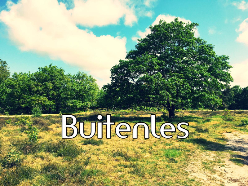 Buitenles Tai Chi Qigong Hilversum