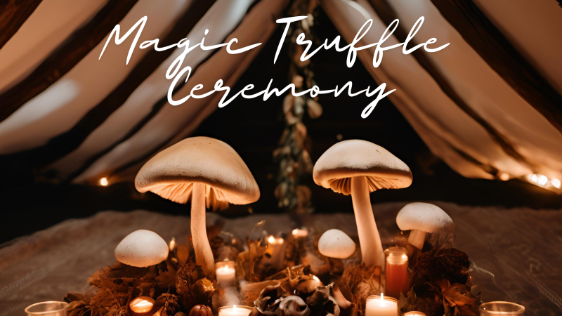 Een diepgaand weekend retreat met Magische Truffels