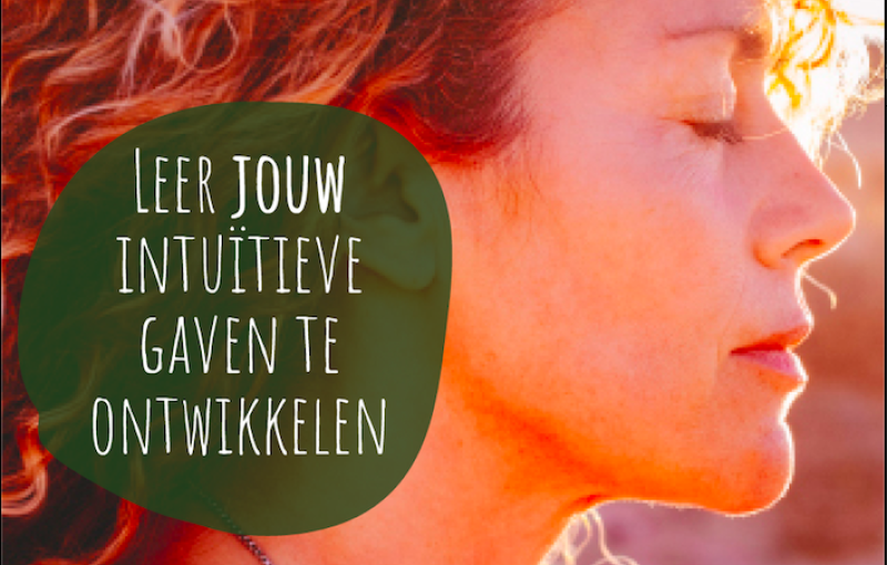 Cursus Intuïtieve ontwikkeling
