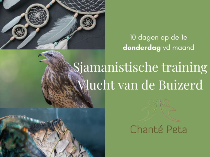 Sjamanistische jaaropleiding 'Vlucht van de Buizerd'