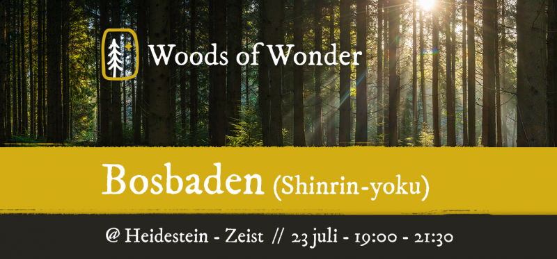 Bosbaden (shinrin-yoku) @ Heidestein Zeist