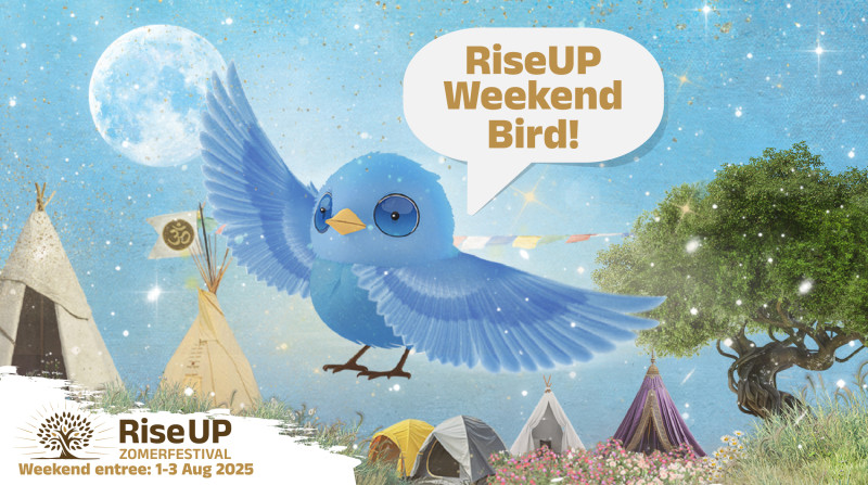 WEEKEND ARRANGEMENT RiseUP zomerfestival 2025  - Retraites de plusieurs jours, Festivals, Rassemblements