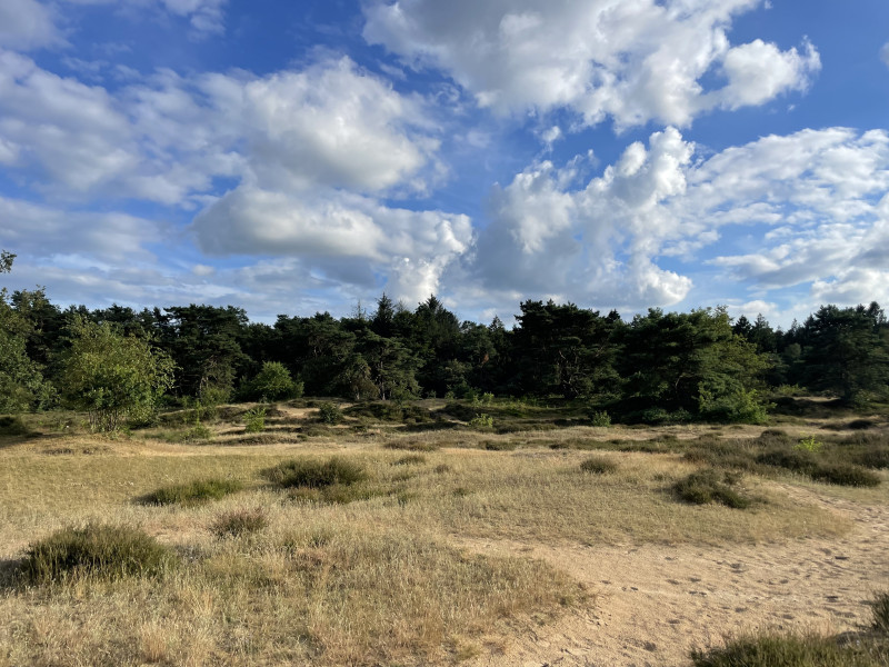 Bosbad start energetische lente