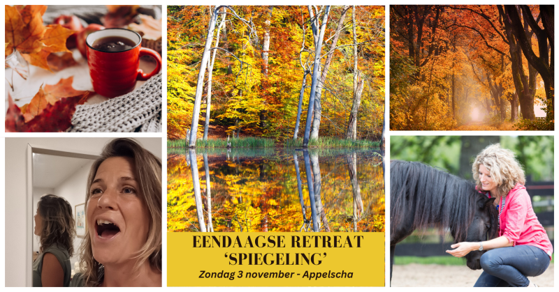 SPIEGELING: EENDAAGSE RETREAT