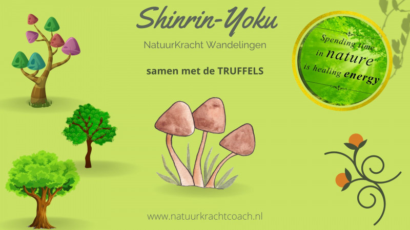 Bosbaden met de Magische Truffels