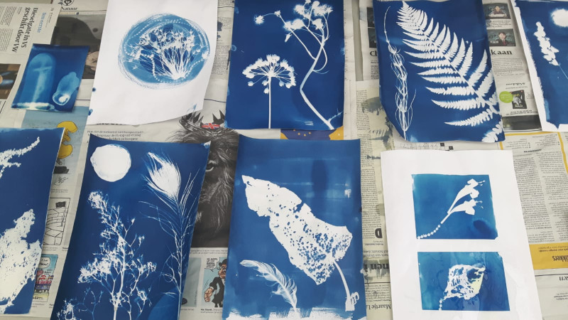 Blauwdrukken, Cyanotype 5 september