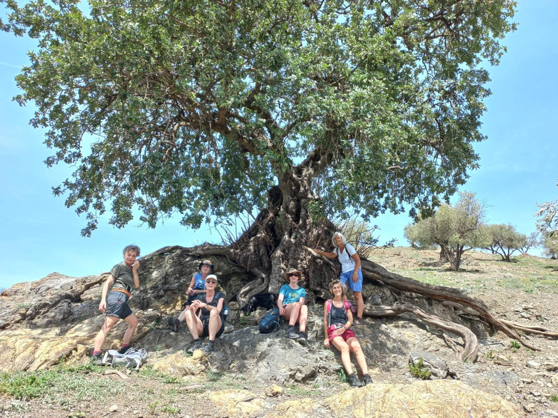 Stilte wandelretraite in kleine groep(max 6) Finca Alondra