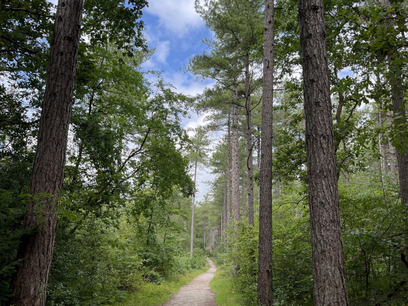 Mind-Walk cursus van 5 wekelijkse trainingen in Schoorl