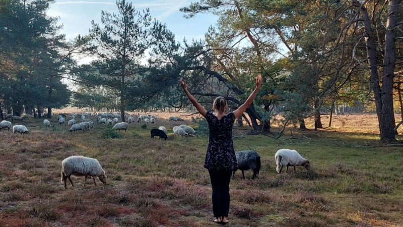 Qi Gong in de natuur, Soest