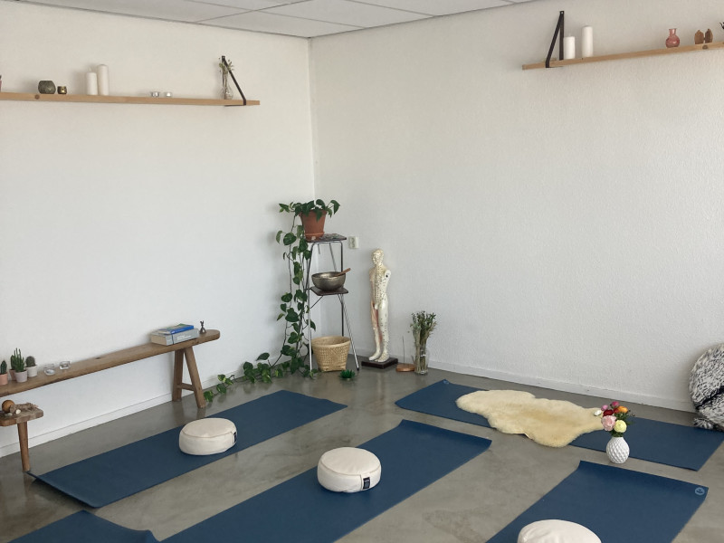 BRTT & TRB sessie. Van spanning naar rust (ademwerk & trauma release)