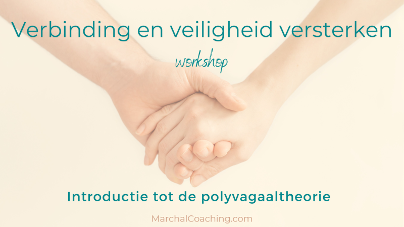 Verbinding en veiligheid versterken - Polyvagaal theorie in relatie