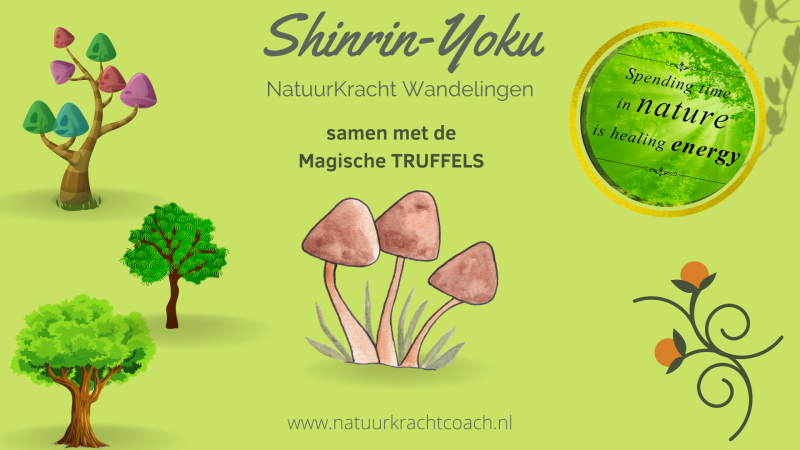 Bosbaden met de Magische Truffels - Truffel Ceremonie, Bosbad - Shinrin Yoku