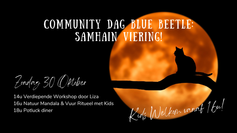 Community dag Blue Beetle: Samhain viering!