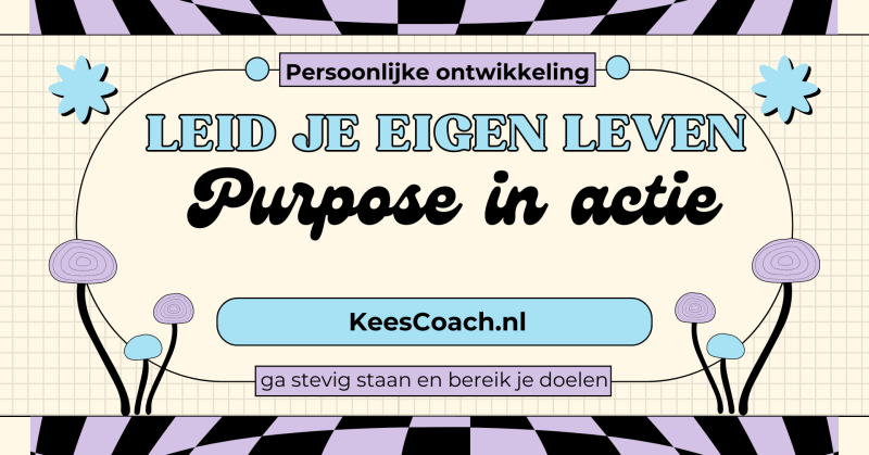 Leid je eigen leven – Purpose in actie - Leadership personnel, Travail systémique, Développement de la conscience