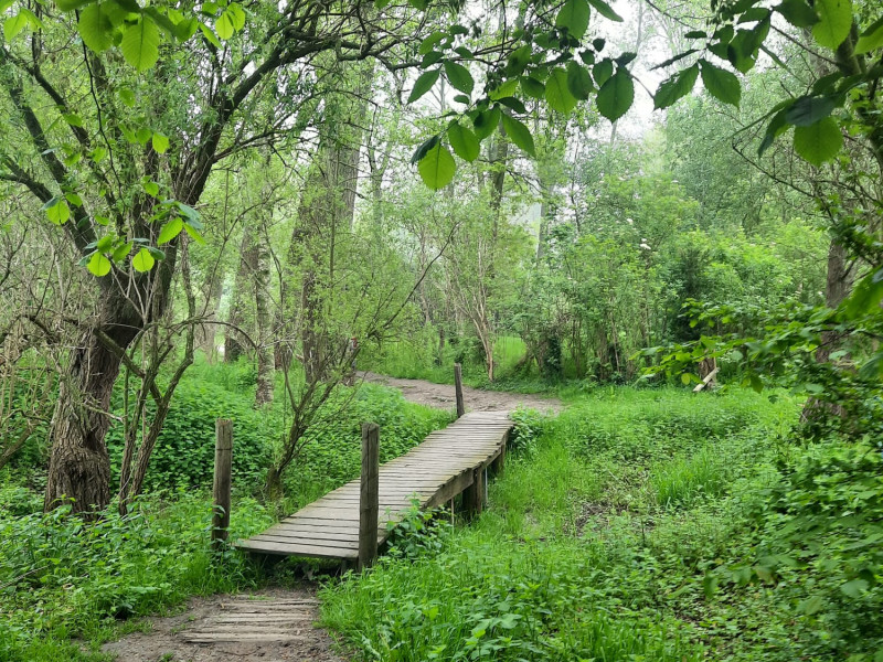 Natuur- en meditatiewandeling Poperinge - bijdrage naar keuze