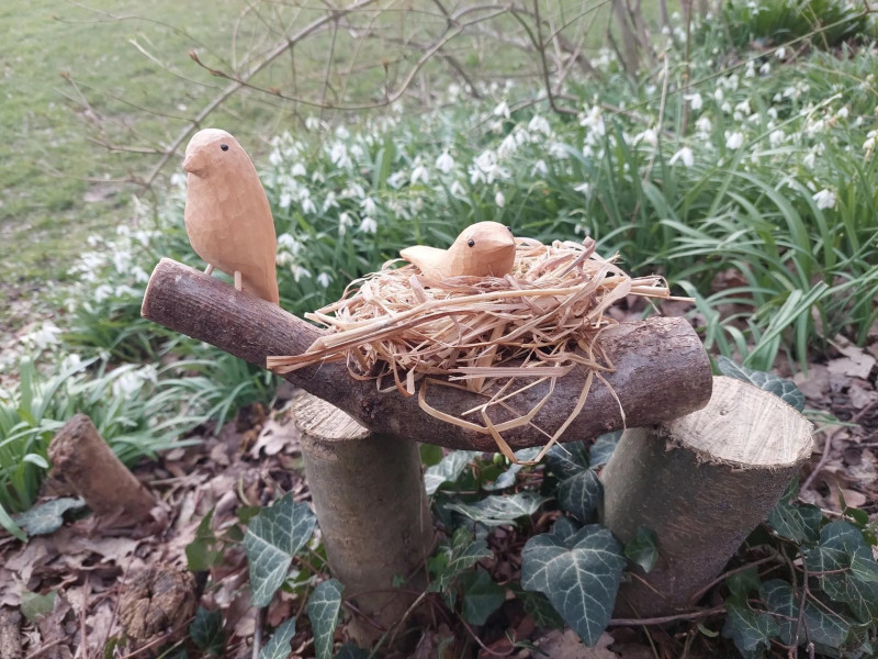 Houten vogeltje snijden - ﻿Zo vrij als een vogel