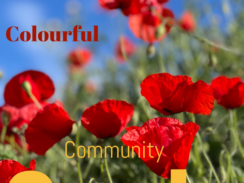 Tweelingzielendag- Colourful Souls Community