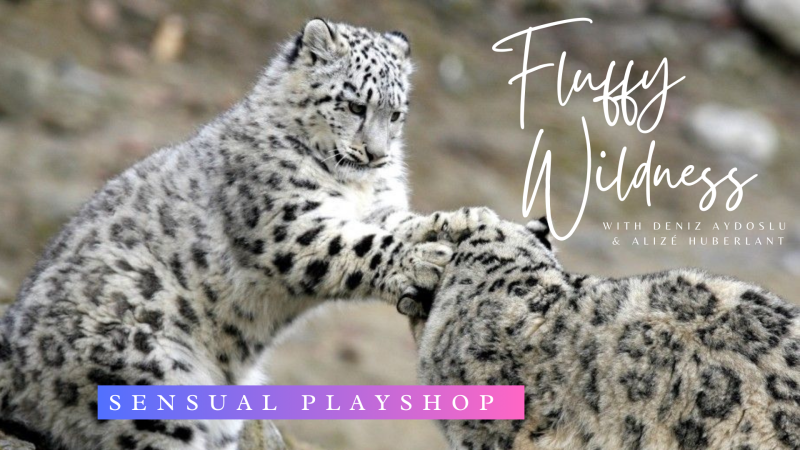 Fluffy Wildness ~ Sensual Playshop 