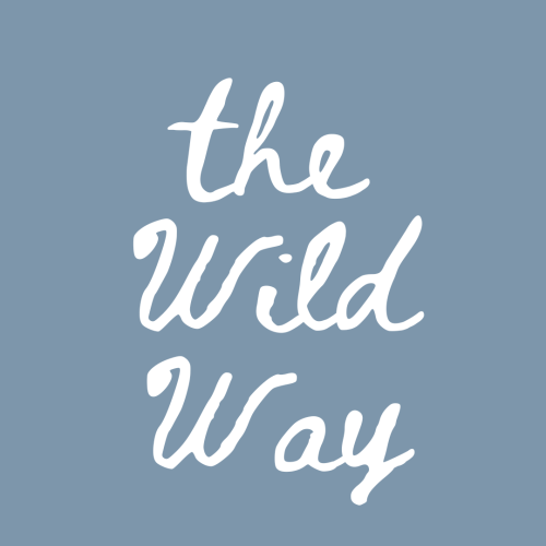 The Wild Way