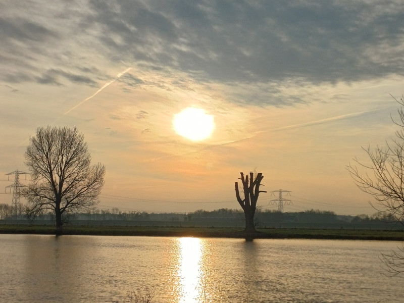 Natuurlijk Zijn met elles